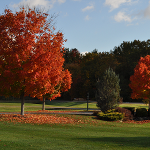 Special Education | Shaker Road School