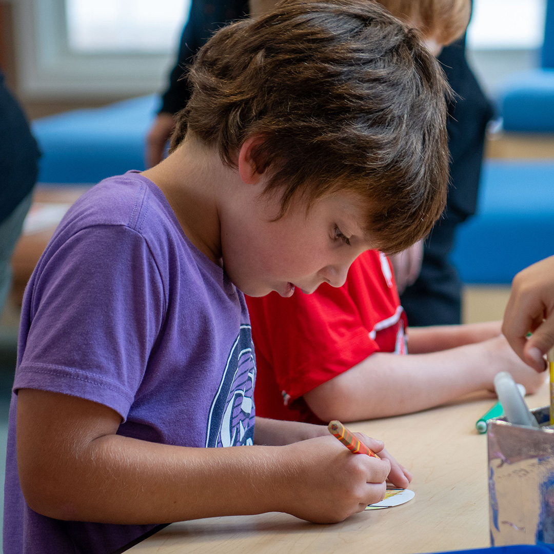 Shaker Road School Grade Levels